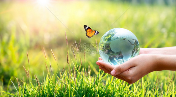 拯救世界的理念了环境世界处于绿布基背景的草丛中叶子社会的植物图片