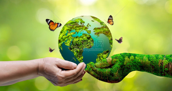 叶子生态森林拯救世界的理念了环境世界处于绿布基背景的草丛中图片
