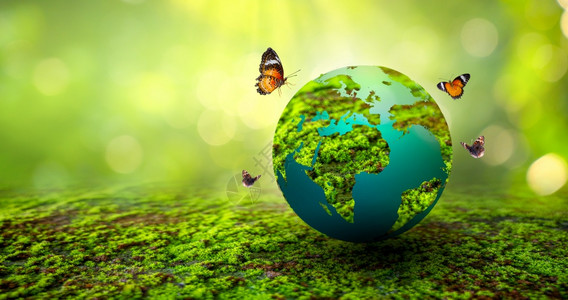 拯救世界的理念了环境世界处于绿布基背景的草丛中友好阳光绿色图片