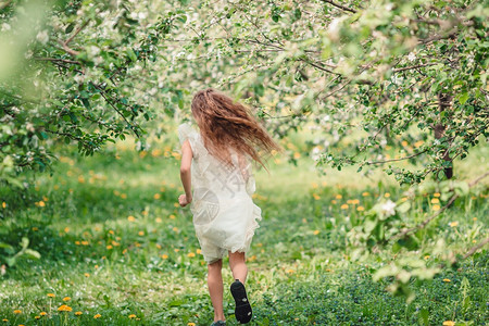 脸花朵可爱的小女孩在盛开的苹果树花园中可爱的小女孩在美丽春日满苹果花园中笑图片