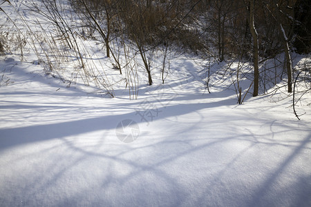 传统的风景优美日落时树木的阴影落在大深雪的阴影下冬天雪飘动在季二月背景图片