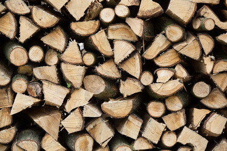 木材锯活力林中柴堆图片