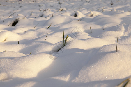 满的新鲜在最后一场雪落之的下照片是在降后的冬季拍摄雪堆图片
