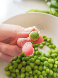白种人豌豆持有绿色子的女手指健康食品和生活方式农业图片