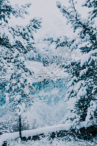 美丽山湖落雪水面岩石和树木的反射山上第一雪降风景优美图片