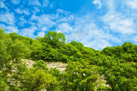 美丽多云的风景夏日阳光明媚山坡上布满灌木丛图片