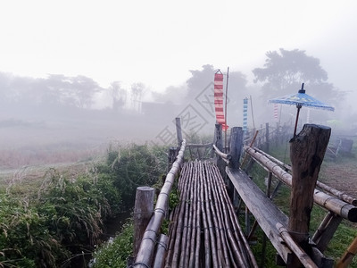 公园桥是竹子做的亚洲自然背景图片