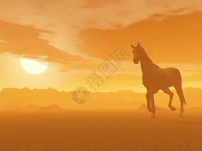 美丽的马匹在沙漠中漫步由浓雾的日落光线可爱男图片