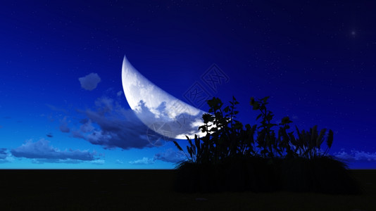 园艺草以3D软件制成的月夜繁荣图片