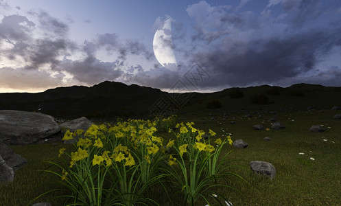 自然云以3D软件制成的月夜院子图片