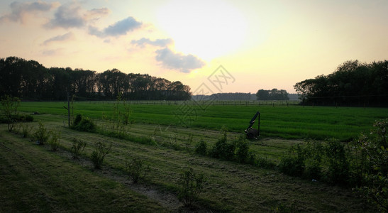 夏天日落在典型的荷兰沙丘风景树湖晴天图片