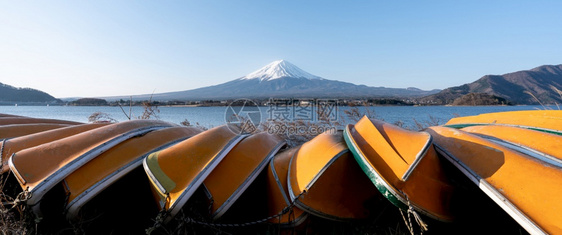 宁静黄色的日本川口子湖黄船和清空天中看到藤山或先生的景象富士图片