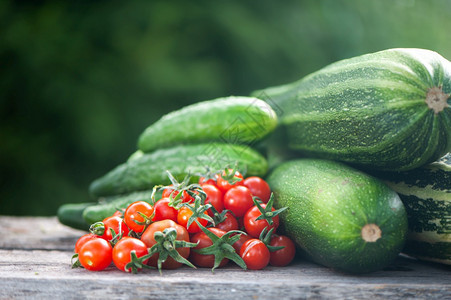 捕食黄瓜和西红柿自然花园背景的死活文字空间成熟素食主义者健康图片