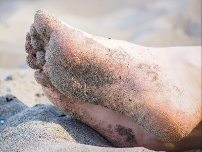粮食修脚一个无法辨认的天主教徒脚躺在沙土中脚底有湿沙人们图片