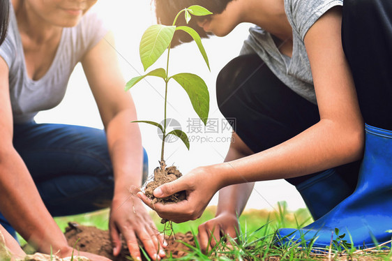为了拯救地球帮助种植自然树的两手缝合年轻播种团结一致图片
