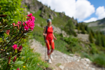 外部旅行路边的花朵在路边流过一个女孩去远游时攀登图片