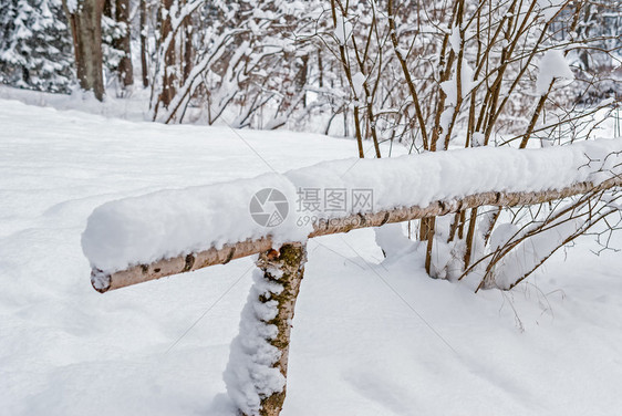 公园中被雪覆盖的木栅栏树森林风景优美图片