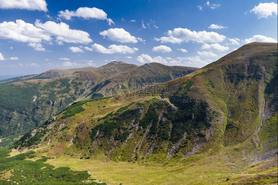 荒野乌克兰喀尔巴阡山脉的科霍诺拉脊绿色树图片