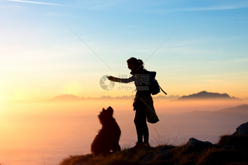 喜悦训练女孩在山上玩他的狗在山里教他把食物坐着吃图片