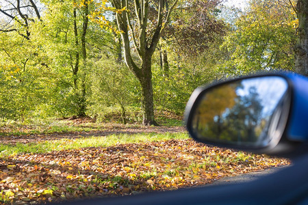 汽车后视镜中的秋天风光图片