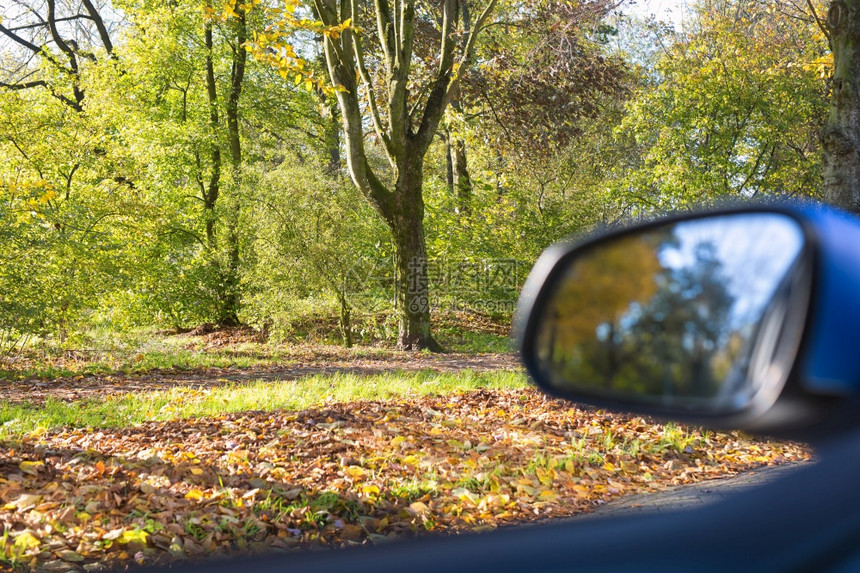 汽车后视镜中的秋天风光图片