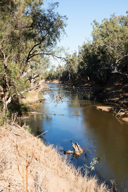 澳大利亚新南威尔士州沃伦附近的Macquarie河内陆农村场景图片
