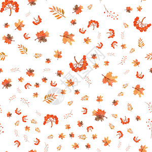 橙花的无缝秋叶背景白色孤立上的浆果水彩插图无缝秋叶背景白色孤立上的浆果水彩插图丰富多的图片