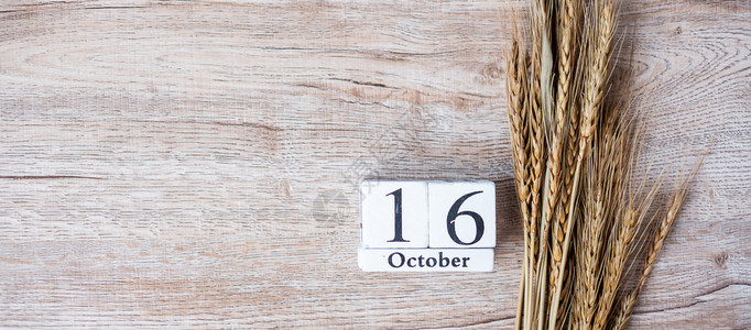 木制的象征慈善机构10月6日历木和小麦桌本背景附有空间食物捐赠分享志愿人员和世界粮食日概念图片