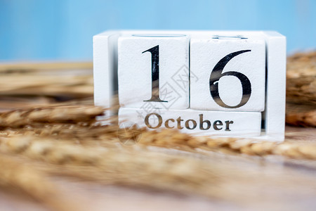 象征最佳10月6日历木桌底小麦食物捐赠分享志愿人员和世界粮食日概念烹饪图片