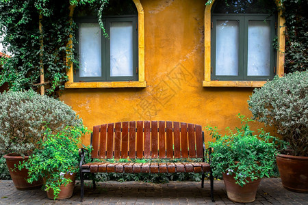 棕色木质长椅有黄花菊在公园中站立其背景是绿树美丽的夏天春季自然景观花园长凳座位一种银行图片
