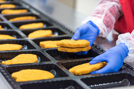 工业的厂人把鸡肉排放在工厂里干净的火鸡图片