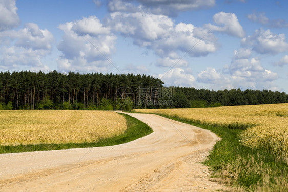 农村春季或夏没有沥青的公路春地或夏季风景无沥青的道路乡村边户外图片