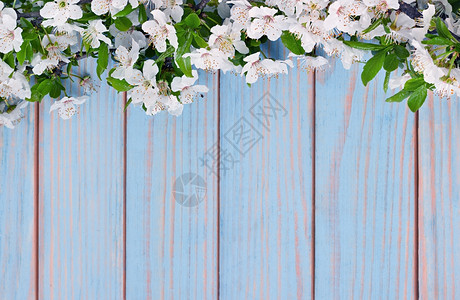 幸福花店木背景上的苹果花枝框架图片