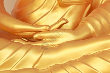 莲花佛祖的手背景图片