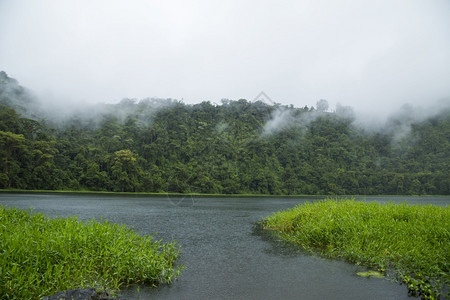 农村天堂水美丽的河流热带雨林哥斯达黎加图片