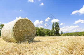 夏季拥有草地的田季节场图片