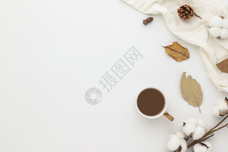 自然白色的秋季成分咖啡杯干叶和白色背景的松锥平板铺带有复制空间的最高视图粉彩图片