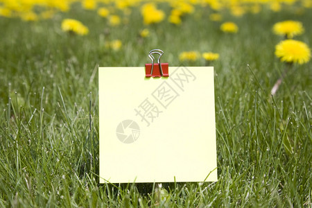 正方形供应广告牌草地上的空白笔记图片