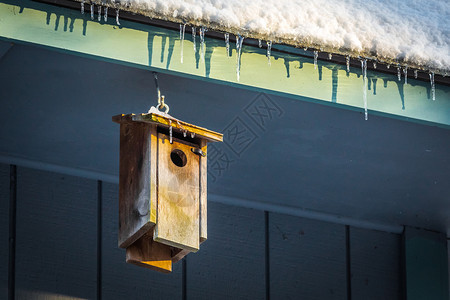 季节圣诞冬天屋顶上的小鸟在冰柱下只有棒的小鸟屋在顶上图片