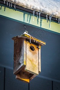庇护所鸟类屋顶上的小在冰柱下只有棒的小鸟屋在顶上户外图片
