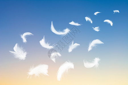 白色的风景优美颜白羽毛像自由一样飘浮在天空上图片