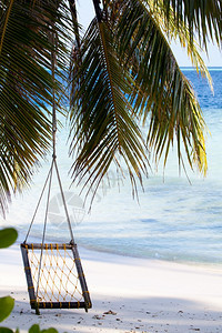旅游天堂用棕榈叶在沙滩上摇异国情调图片