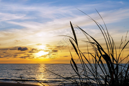 海洋超过夕阳中的天空波罗海上日落浪中阳光的反射海面上日落浪中阳光反射波罗的海夕阳中天空上图片