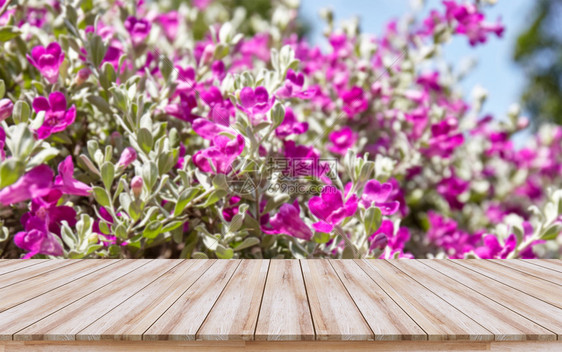 审查白木桌顶有美丽的紫花背景蒙合产品设计显示或模拟视觉布局用于促销和彩色鲜花背景的空木桌材质地图片