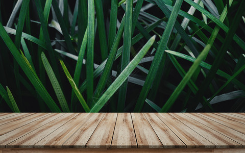 木头商业的蒙戴产品视觉布局模板显示绿叶背景的木板前和绿色树叶背甲板图片
