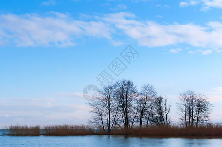 天气景观湖边的树秋天或春的湖和没有叶子树秋天或春的湖和没有叶子树公园图片