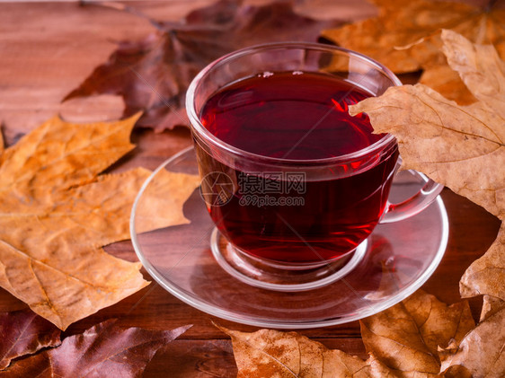 秋季的一杯热茶图片