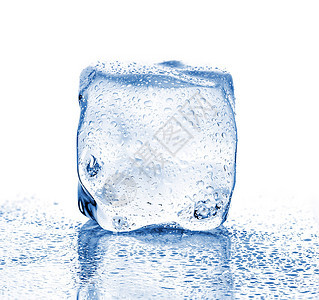 玻璃湿的白色背景上熔化冰立方体茶点图片