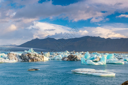 达古冰山约古沙龙泻湖冰岛Jokulsarlon冰川环礁湖自然景观冒险背景