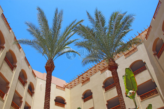 带棕榈树的度假村建筑景观埃及度假村热带期阳台的酒店建筑现代阿拉伯建筑物附近生长的两棵枣椰树热带假期视窗采取靠近图片